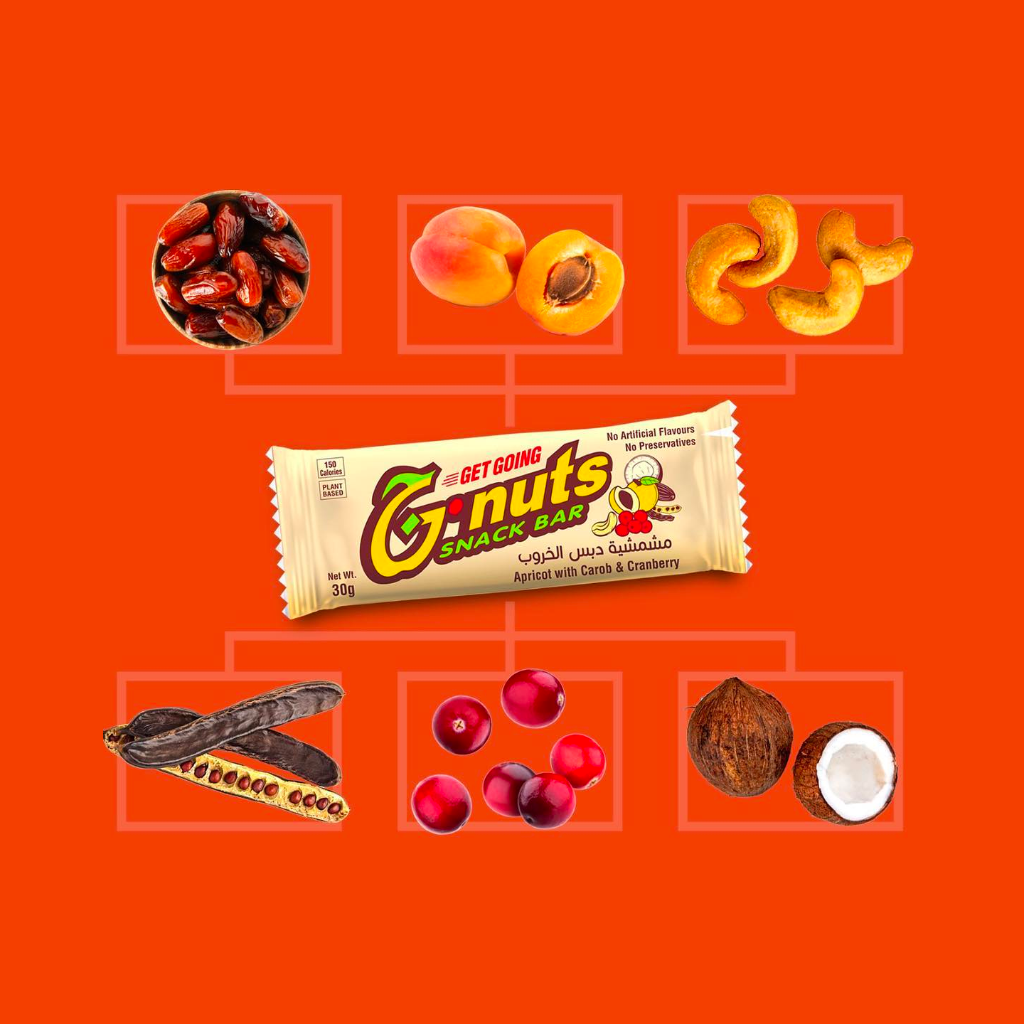 Gnuts Snack Bar – Gnuts Snackbar